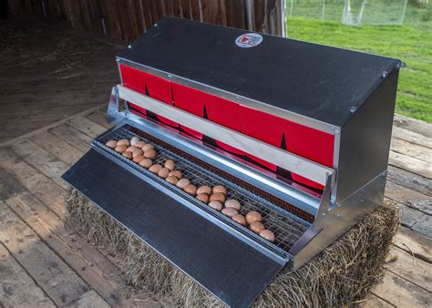 metal egg collecting nesting boxes rollaway eggs|rollaway nesting boxes australia.